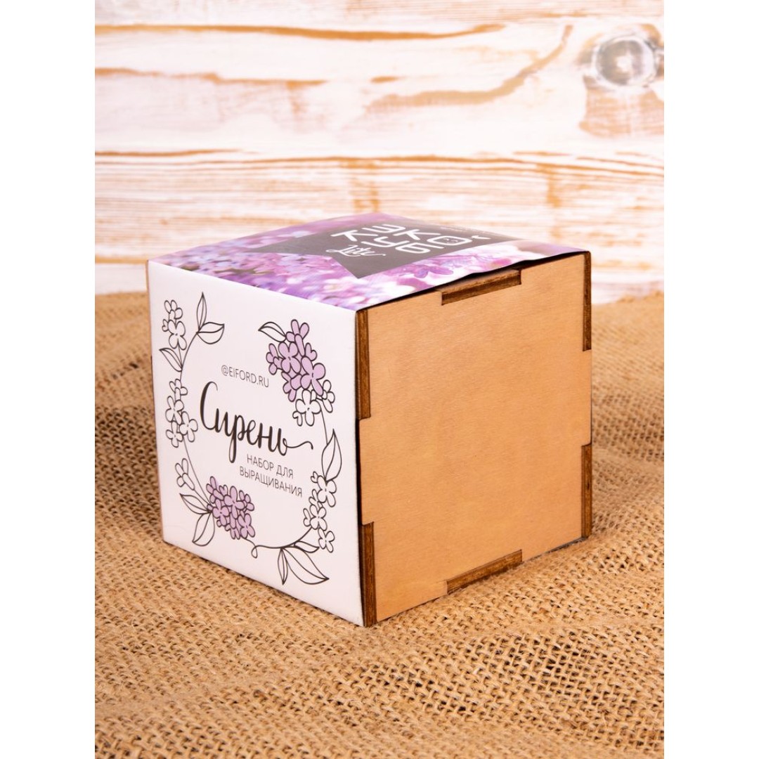 Набор для выращивания «Экокуб Lite», сирень