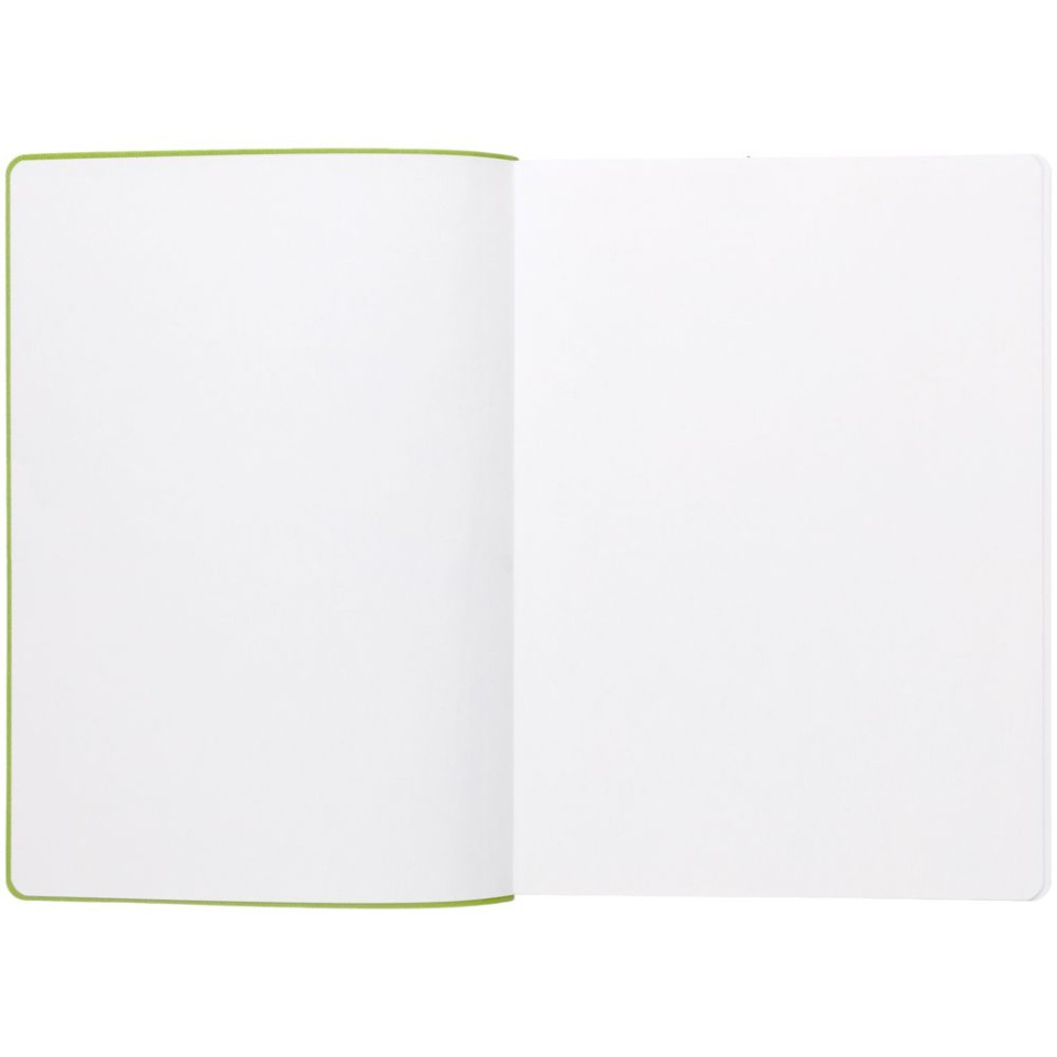 Ежедневник Flexpen, недатированный, серебристо-зеленый