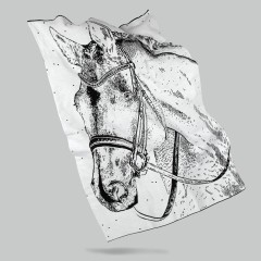 Плед «Вороной»