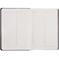 Ежедневник Alanis, недатированный, черный с синим