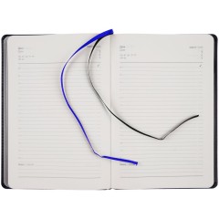 Ежедневник Alanis, недатированный, черный с синим