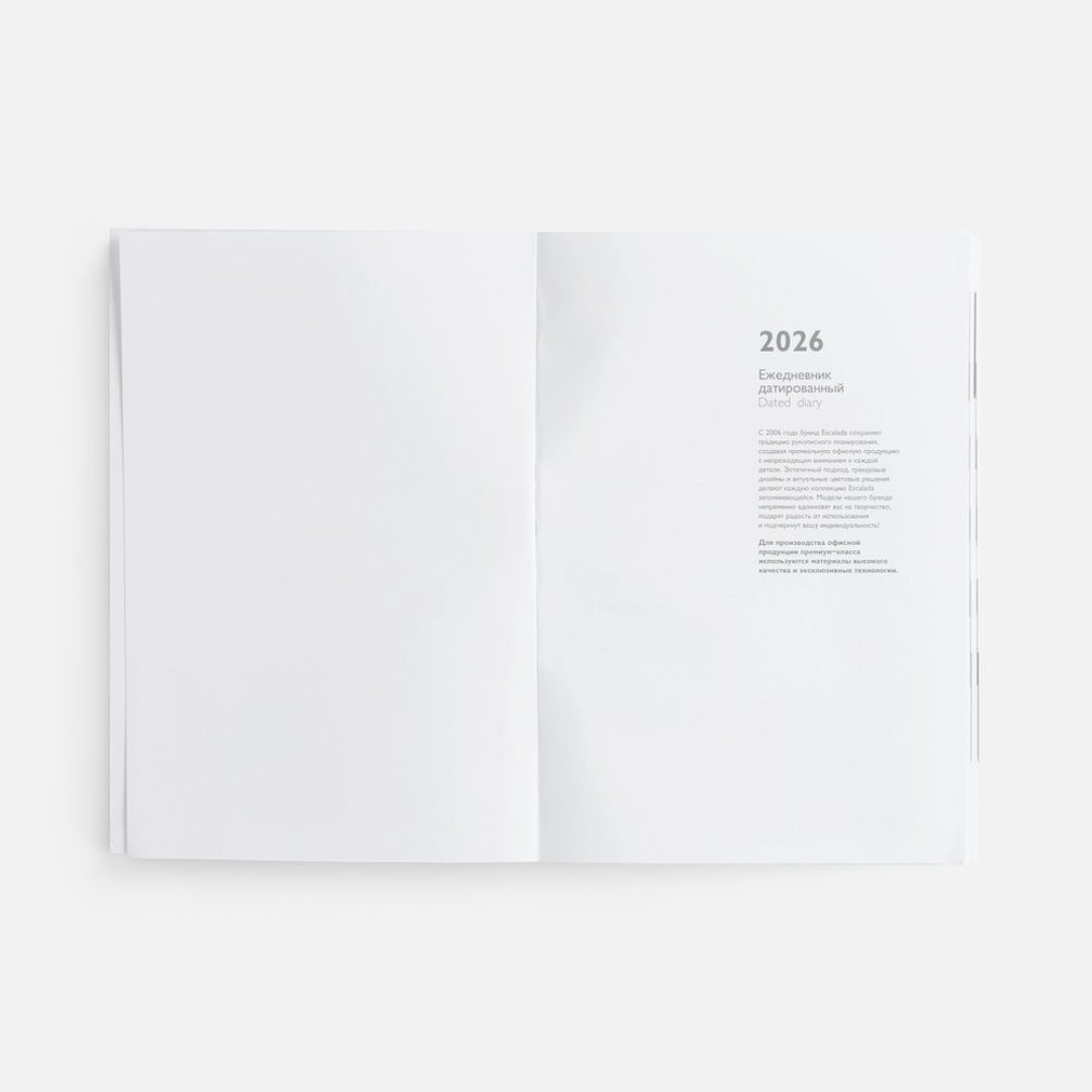 Ежедневник Baza, датированный, красный