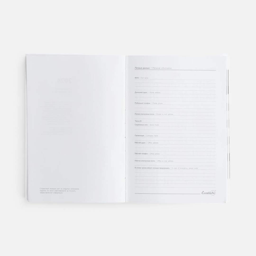 Ежедневник Baza, датированный, красный