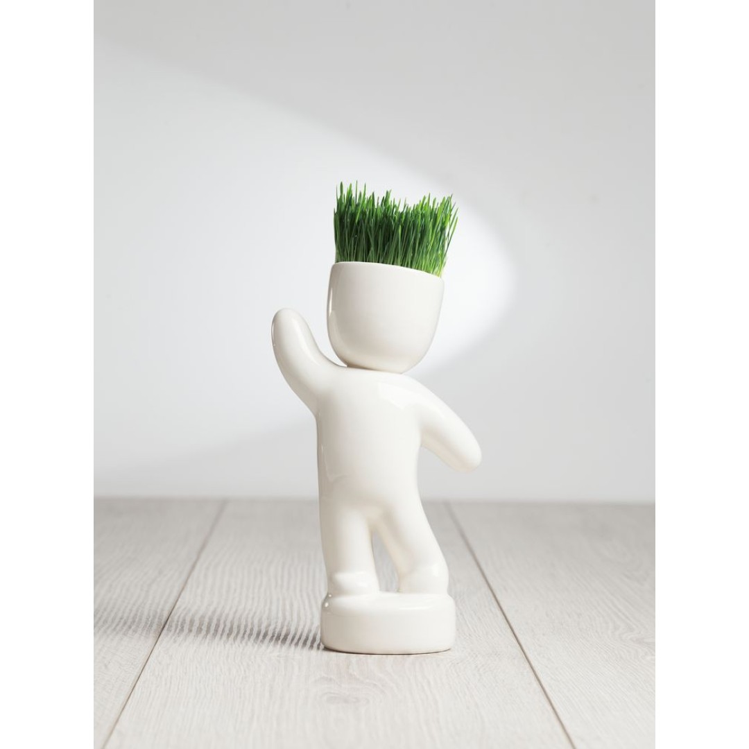 Набор для выращивания Funky Buddy