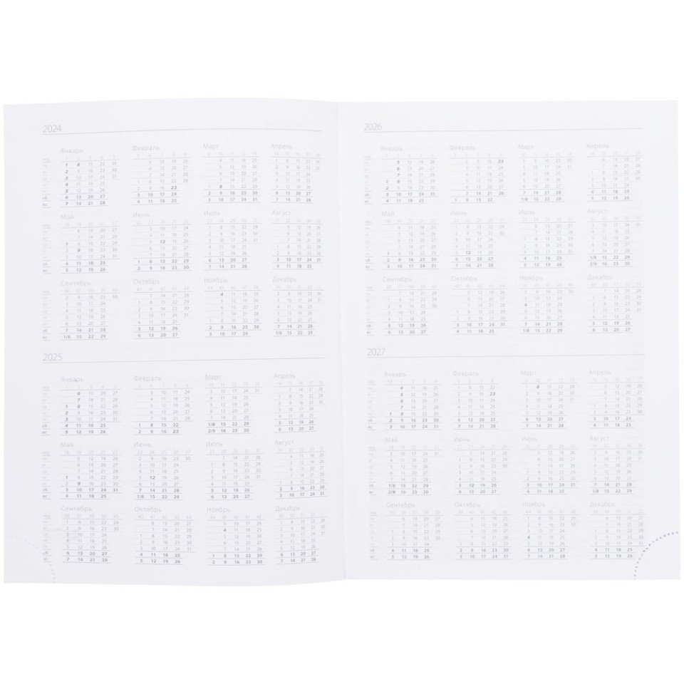 Ежедневник Vivian Metal, недатированный, голубой