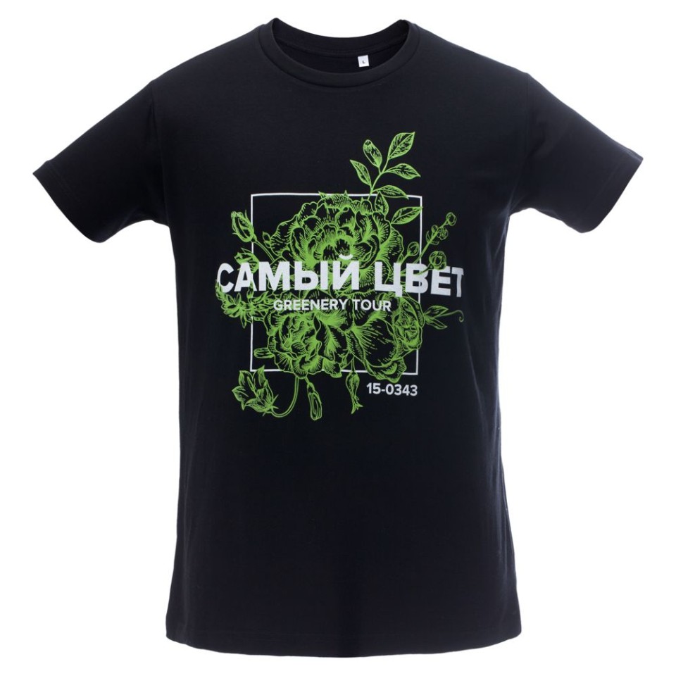 Футболка мужская Regent Fit 150, черная, L