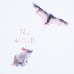 Футболка женская An Аngel, белая, S