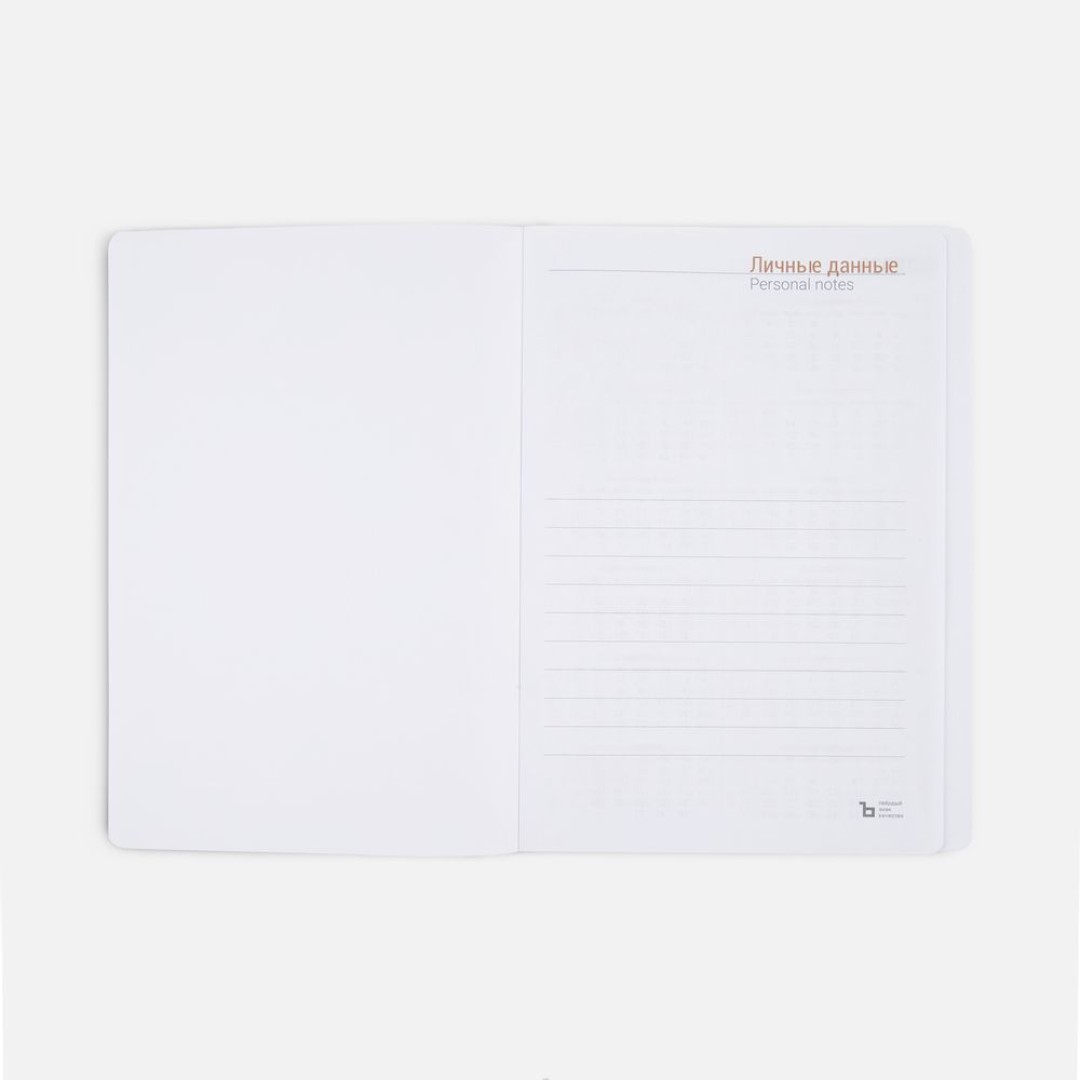 Ежедневник Flex Shall, датированный, серый