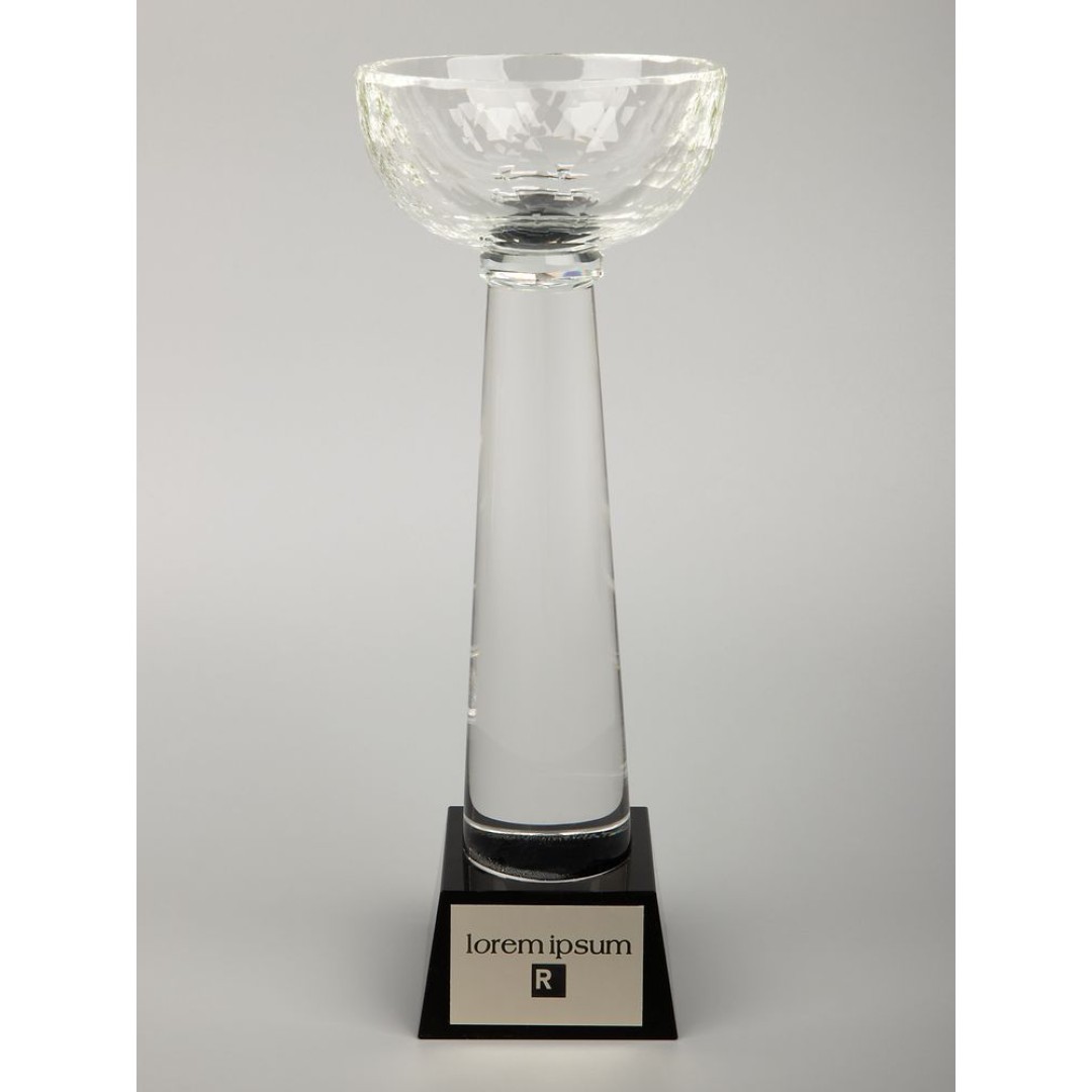 Кубок Cupture, большой