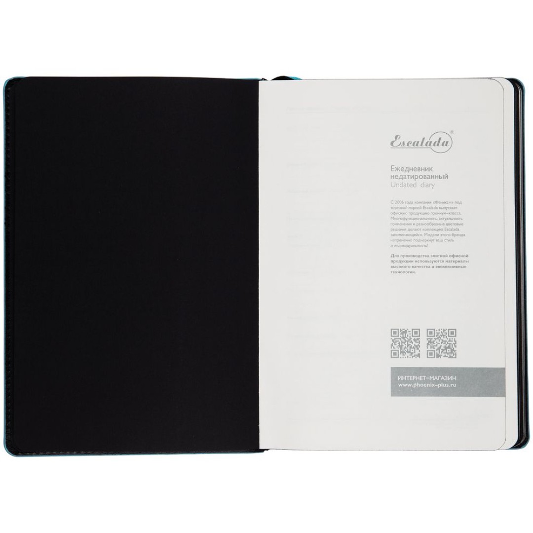 Ежедневник Alanis, недатированный, черный с голубым