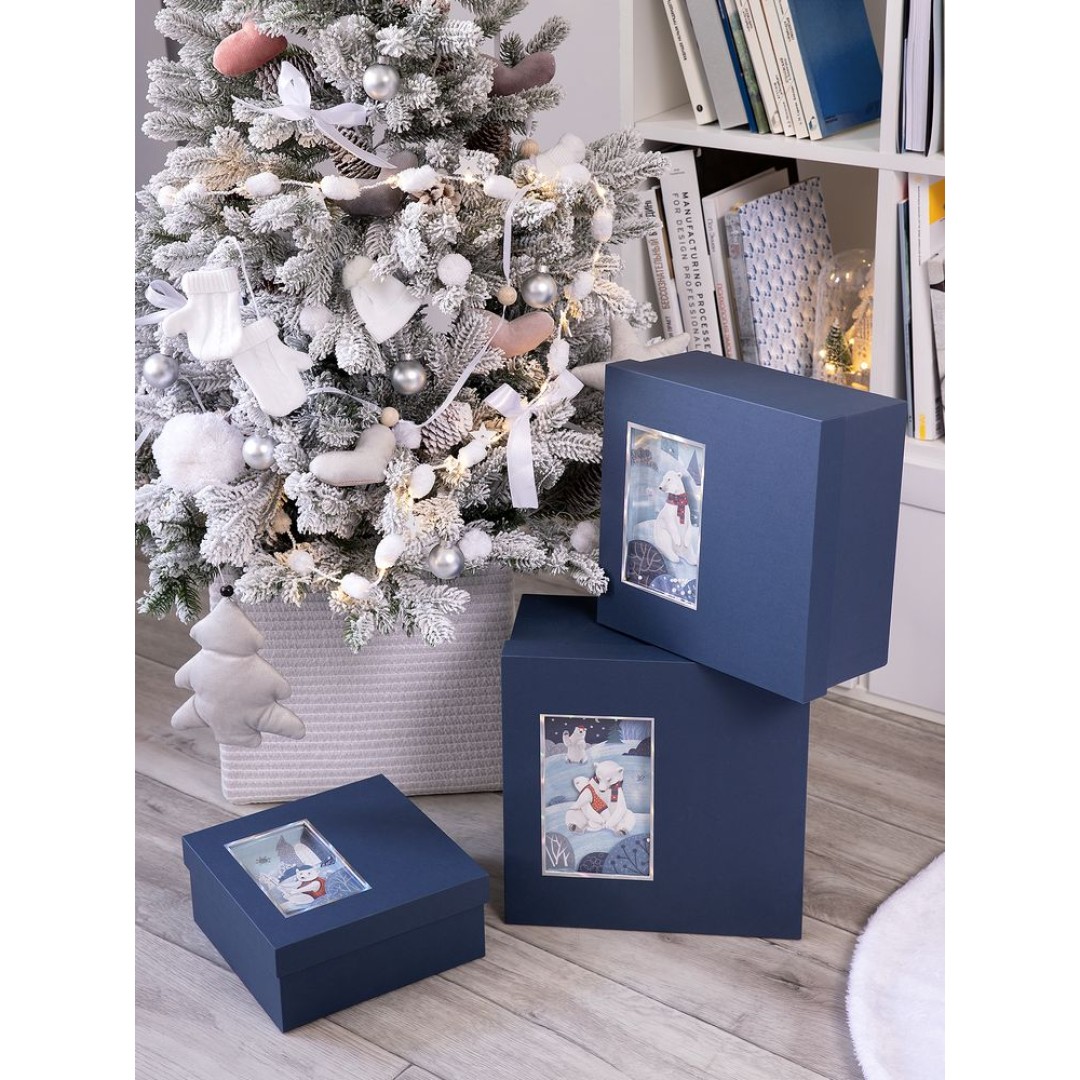 Коробка The Blue Bear, M