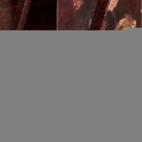 Электрическая зубная щетка Xiaomi Soocas X3U Van Gogh Museum Design