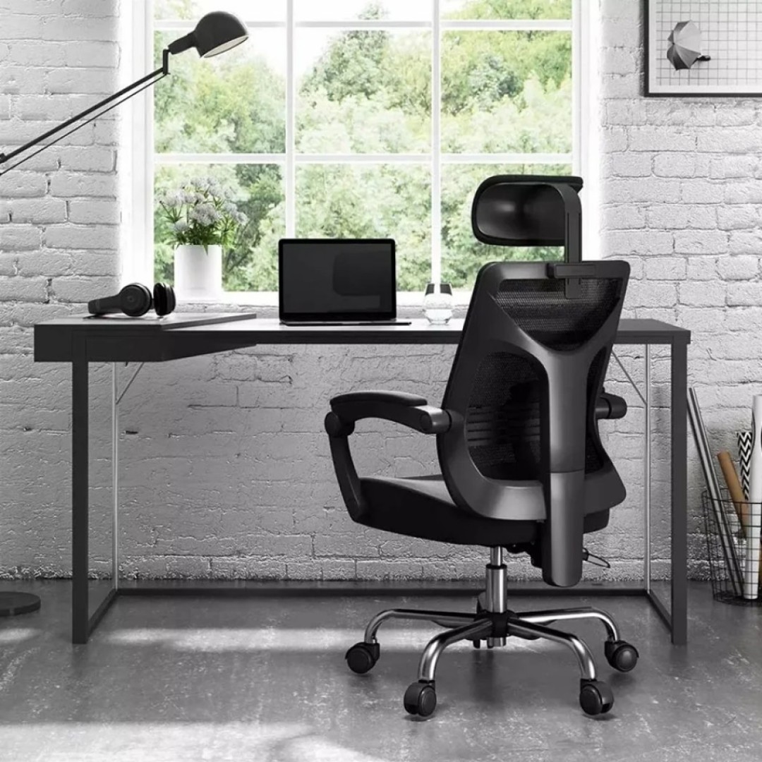 Компьютерное кресло Xiaomi HBADA Ergonomic Chair (HDNY164WM)