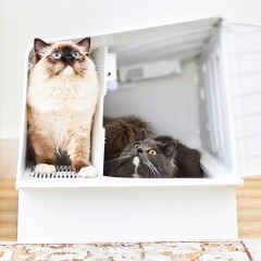 Лоток для кошек Xiaomi Petkit Villa Cat Litter Box (PК30)