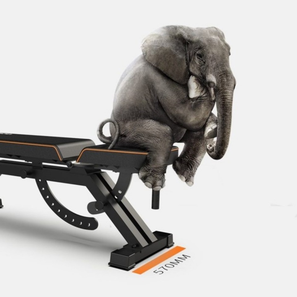 Спортивная скамья Xiaomi Fed Home Multifunctional Fitness Dumbbell Bench (FED-0228)