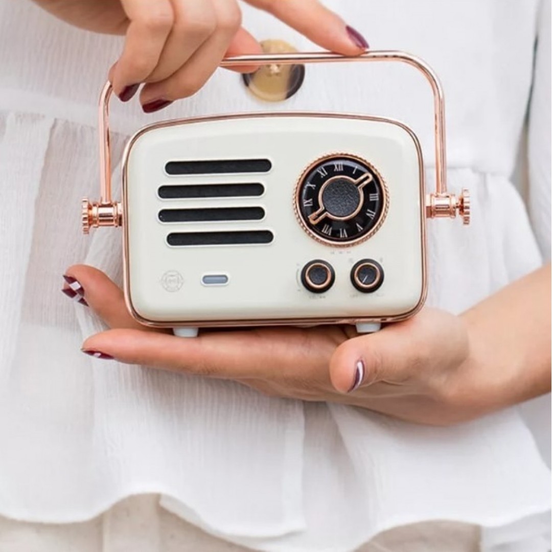 Портативная колонка с радиоприемником Xiaomi Muzen Elvis Presley Moon Rock Smart