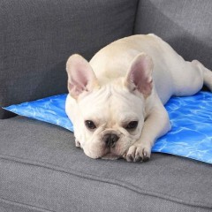 Коврик охлаждающий для животных Xiaomi Youpin Xiaoshouxing Pad