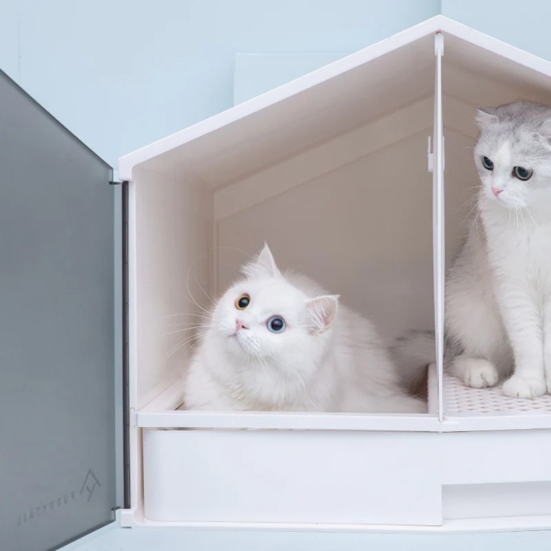 Домик-лоток для кошек Xiaomi Furrytail Glowhouse Car Litter Box