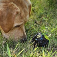 Мячик для собак Xiaomi Youpin Dog Leakage Food (XT28-5001)