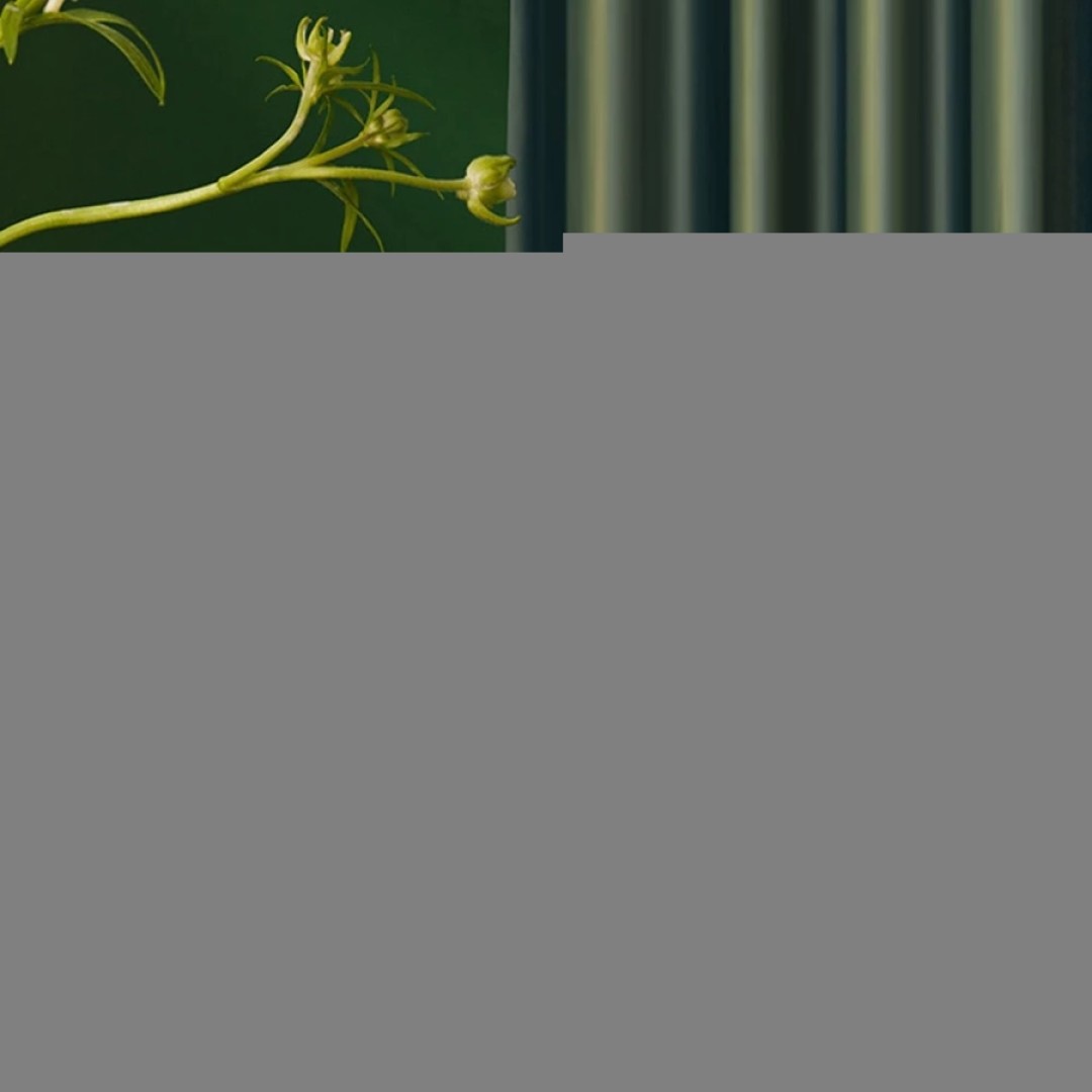 Электрическая зубная щетка Xiaomi Soocas X3U Van Gogh Museum Design