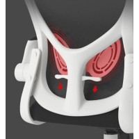 Кресло компьютерное Xiaomi HBADA Ergonomic Double Waist Chair (HDNY163WM)