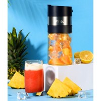 Блендер портативный Xiaomi Pinlo Portable Smoothie Blender (PLMD-BW085-1)