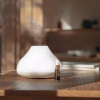 Увлажнитель воздуха 0.5 л Xiaomi Solove H7 Forbidden City (H7FC)