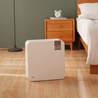 Очиститель воздуха Xiaomi BaoMi Air Purifier 2nd Generation Lite (BMI450A)