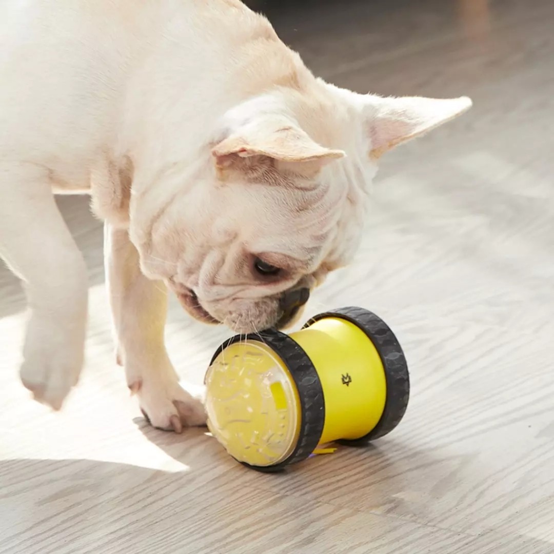 Игрушка для собак Xiaomi Mini Monstar Remote Control Fun Car Dog Toy (XT05-5001)