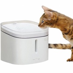 Дозатор воды для животных 2 л Xiaomi Kitten&Puppy Pet Water Dispenser (MG-WF001)