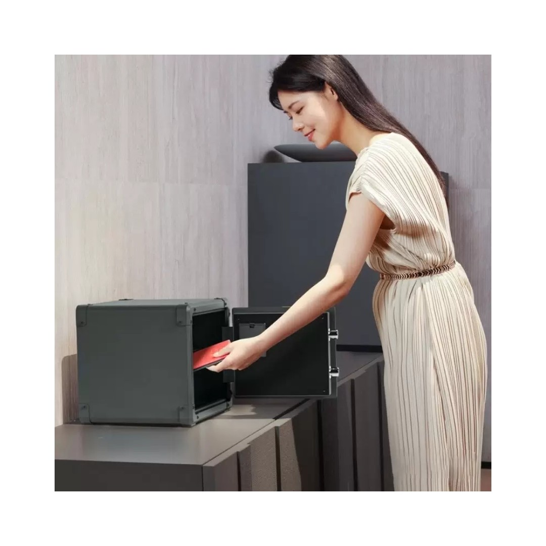 Умный электронный сейф Xiaomi CRMCR Retro Mechanical Smart Safe Depozit Box (BGX-D1-30J)