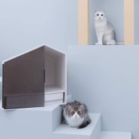 Домик-лоток для кошек Xiaomi Furrytail Glowhouse Car Litter Box