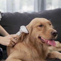 Фурминатор для животных Xiaomi Pawbby Anti-Hair Cutter Comb (MG-PCO001)