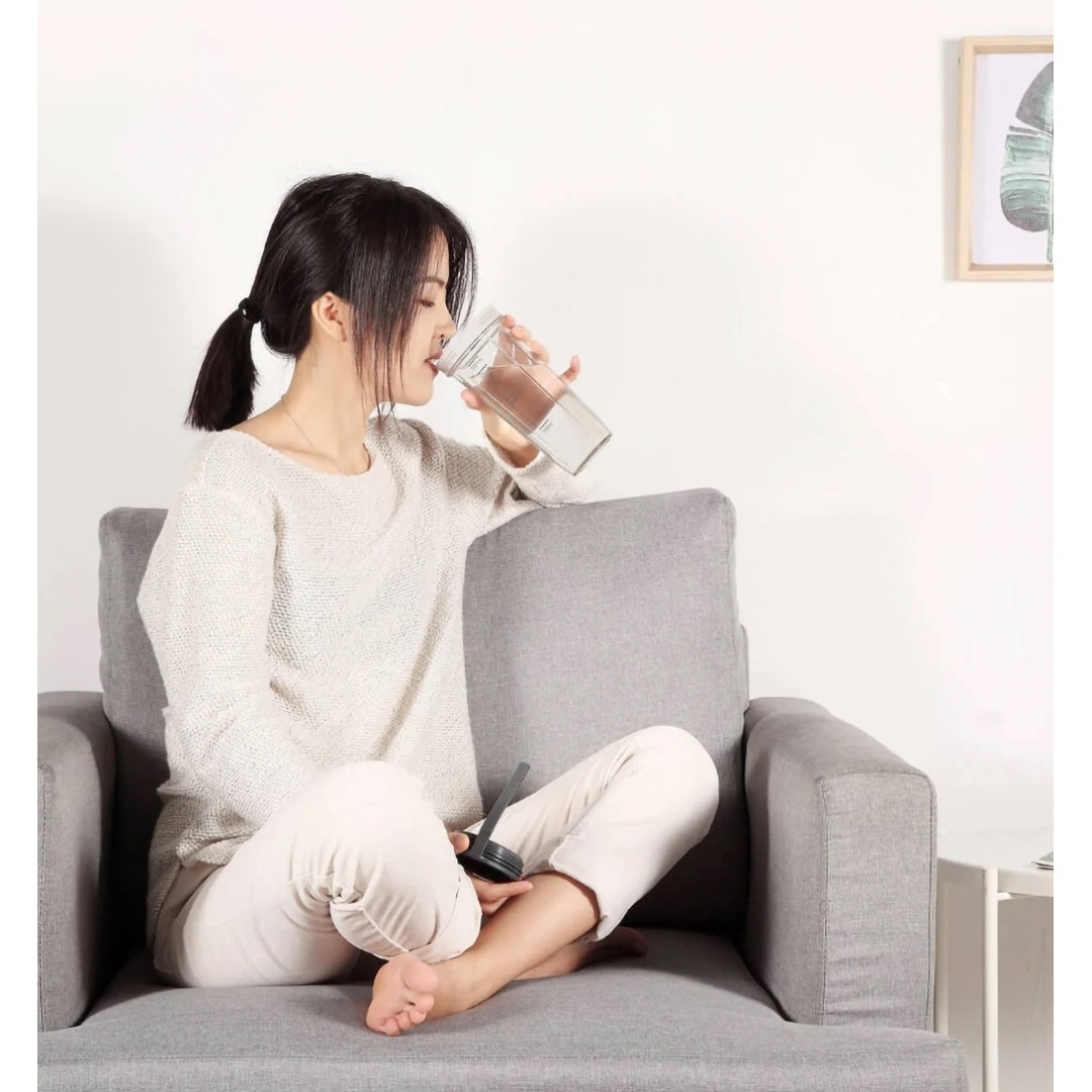 Бутылка для воды Xiaomi Pinlo Portable Bottle 500 мл