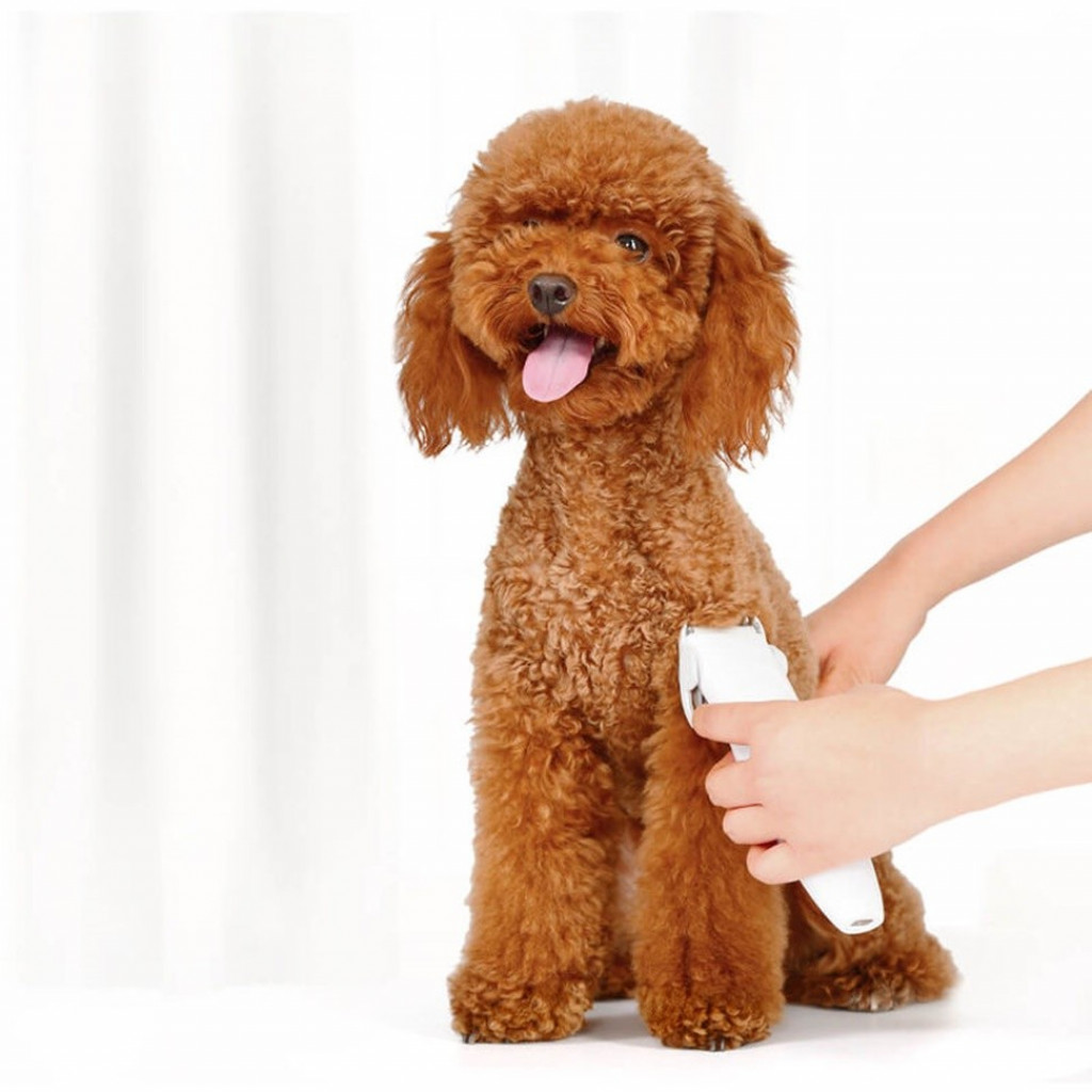 Машинка для стрижки животных Xiaomi Pawbby Pet Shaver White (MG-HC001)