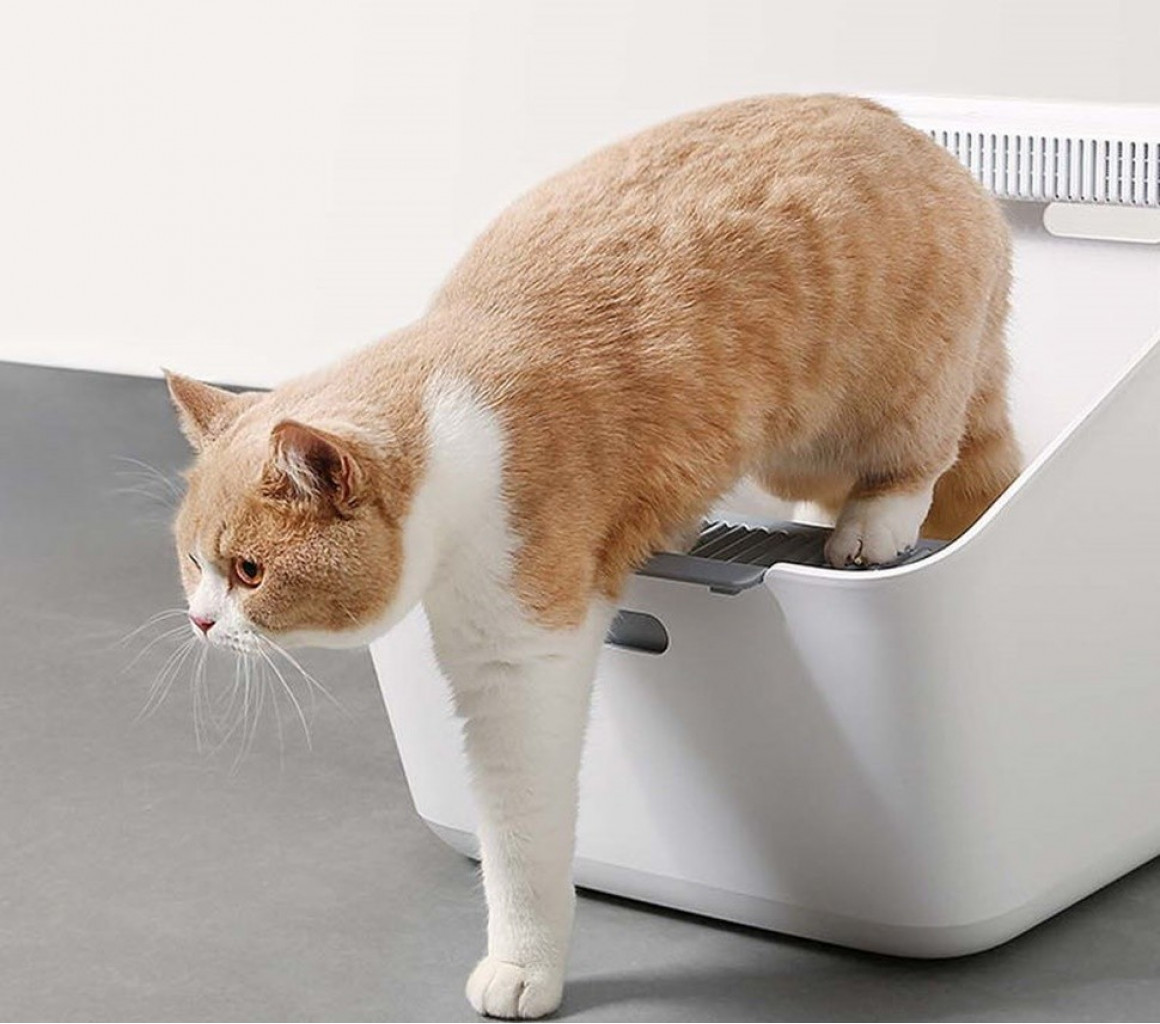 Лоток для кошек Xiaomi Petkit Inductive Net Taste Cat Toilet White (NetTaste)