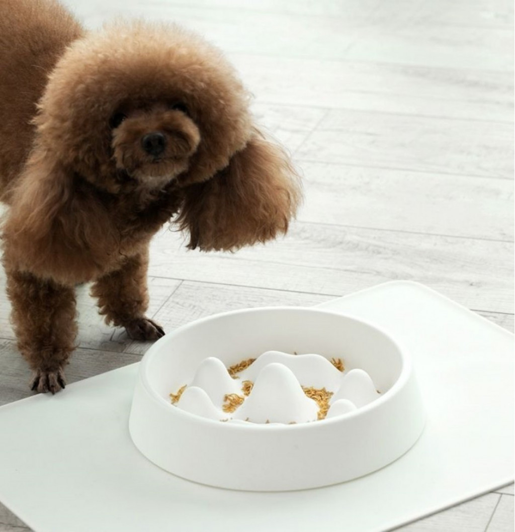 Миска для домашних животных Xiaomi Jordan&Judy Pet Slow Food Bowl Blue (PE017)