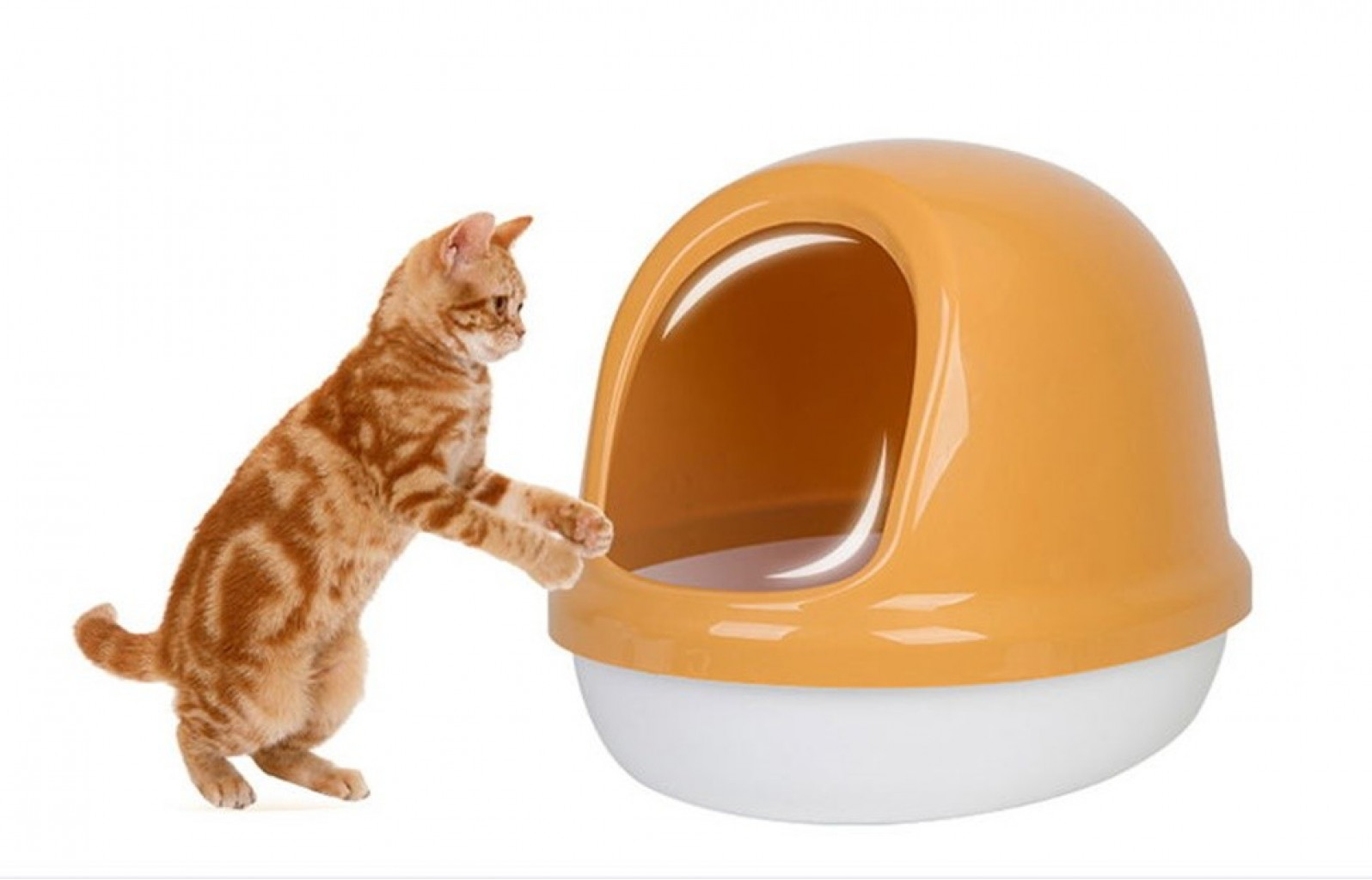 Лоток для кошек Xiaomi Iris Litter Box White (PNE-500-F)