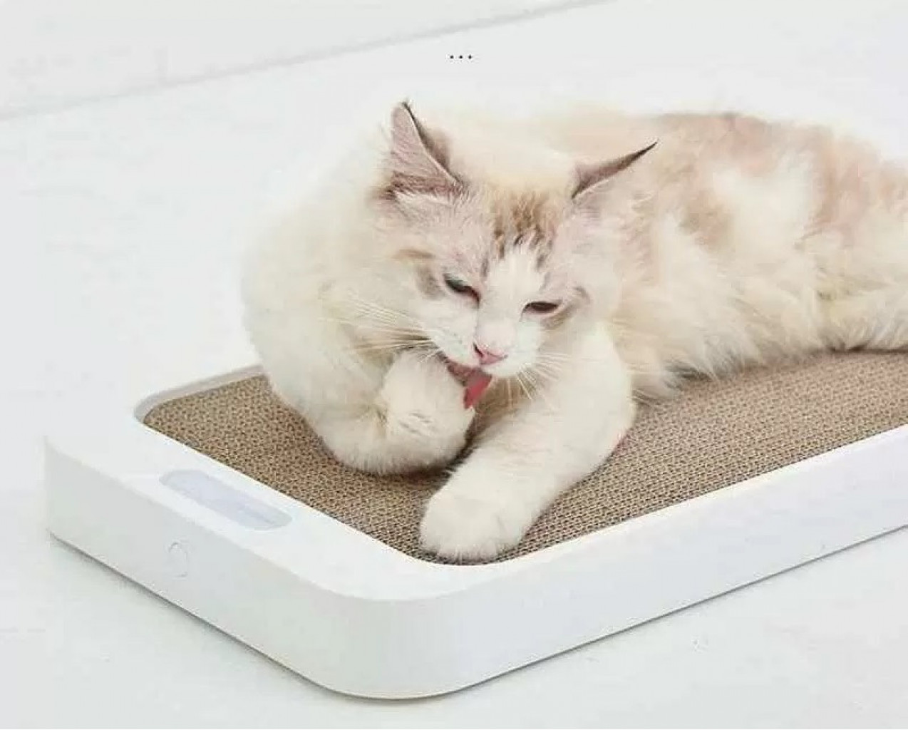 Лежанка для кошек с когтеточкой и весы Xiaomi Homerun Magic Board Pet Scale White (PS15)