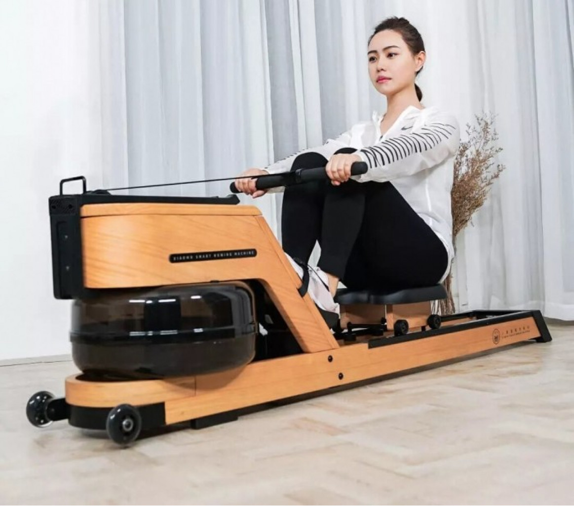 Гребной тренажер Xiaomi Xiao Mo Smart Rowing Machine Mini mobi Smart Brown