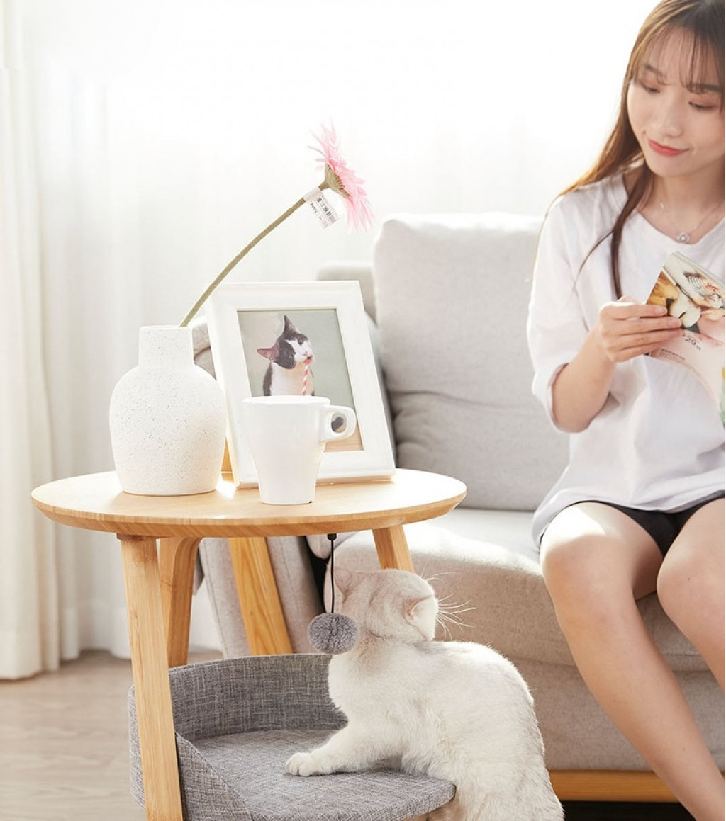 Домик для кошек Xiaomi Mini Monstar House Double Layer Side Cat Nest Gray (XS26-5002)