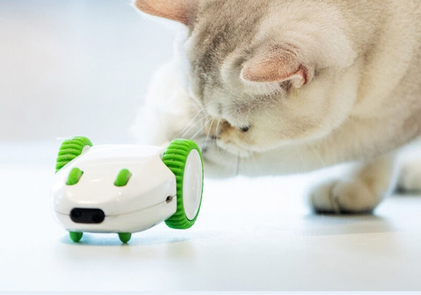 Игрушка для кошек Xiaomi Petgeek Crazy Mouse Toy White