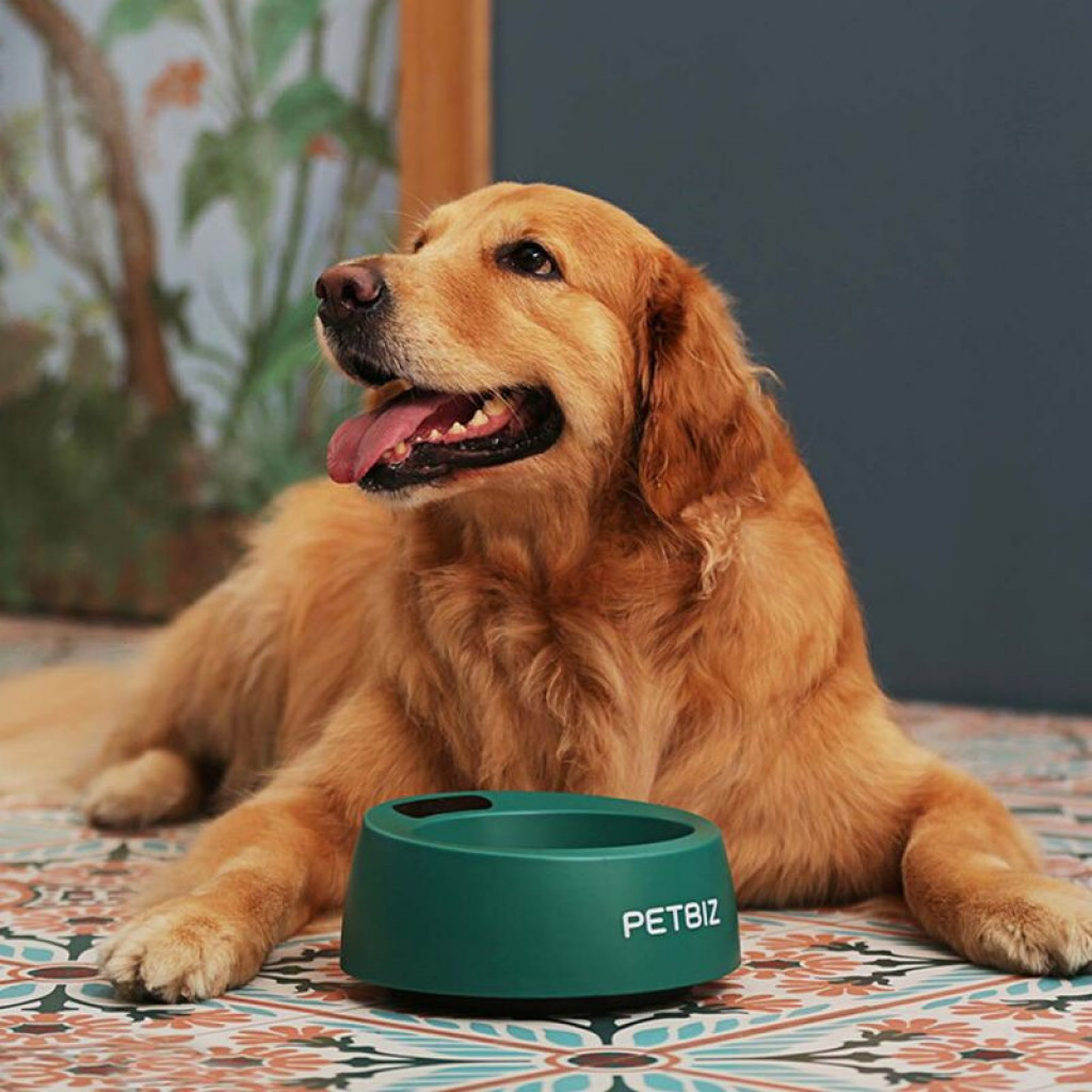 Миска-весы для животных Xiaomi Petbiz Smart Bowl Wi-Fi B01-Pro, Orange