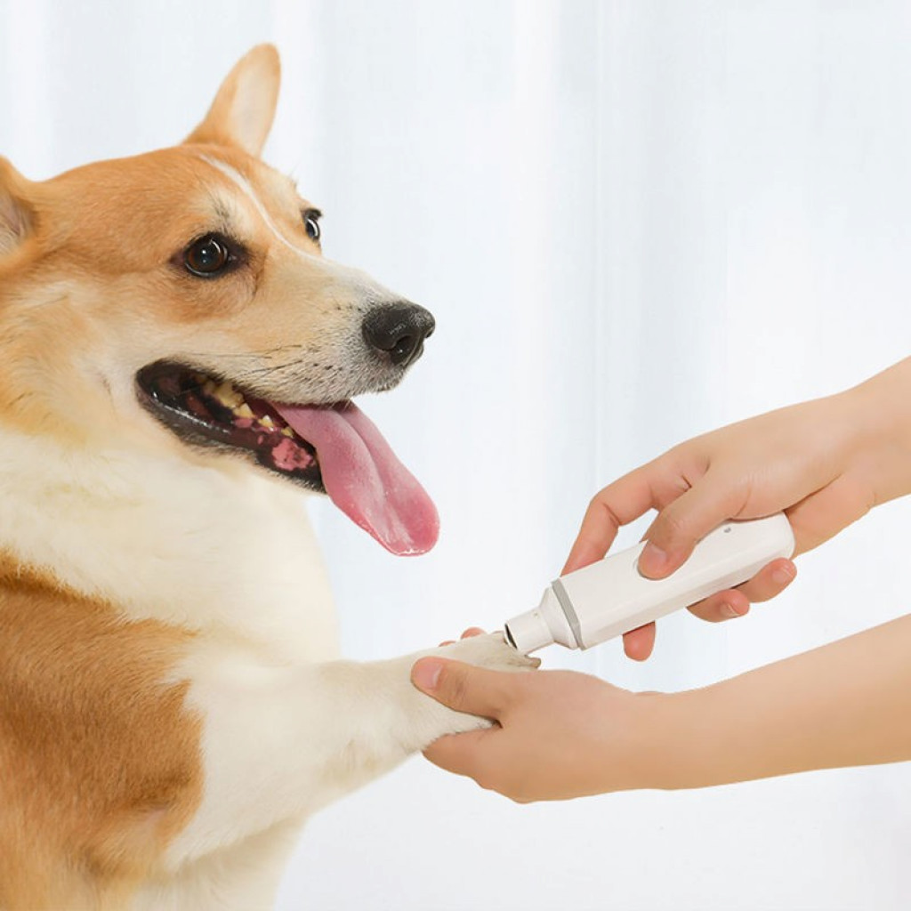 Триммер для когтей домашних животных Xiaomi Pawbby Pet Sharpener White (MG-NG001)