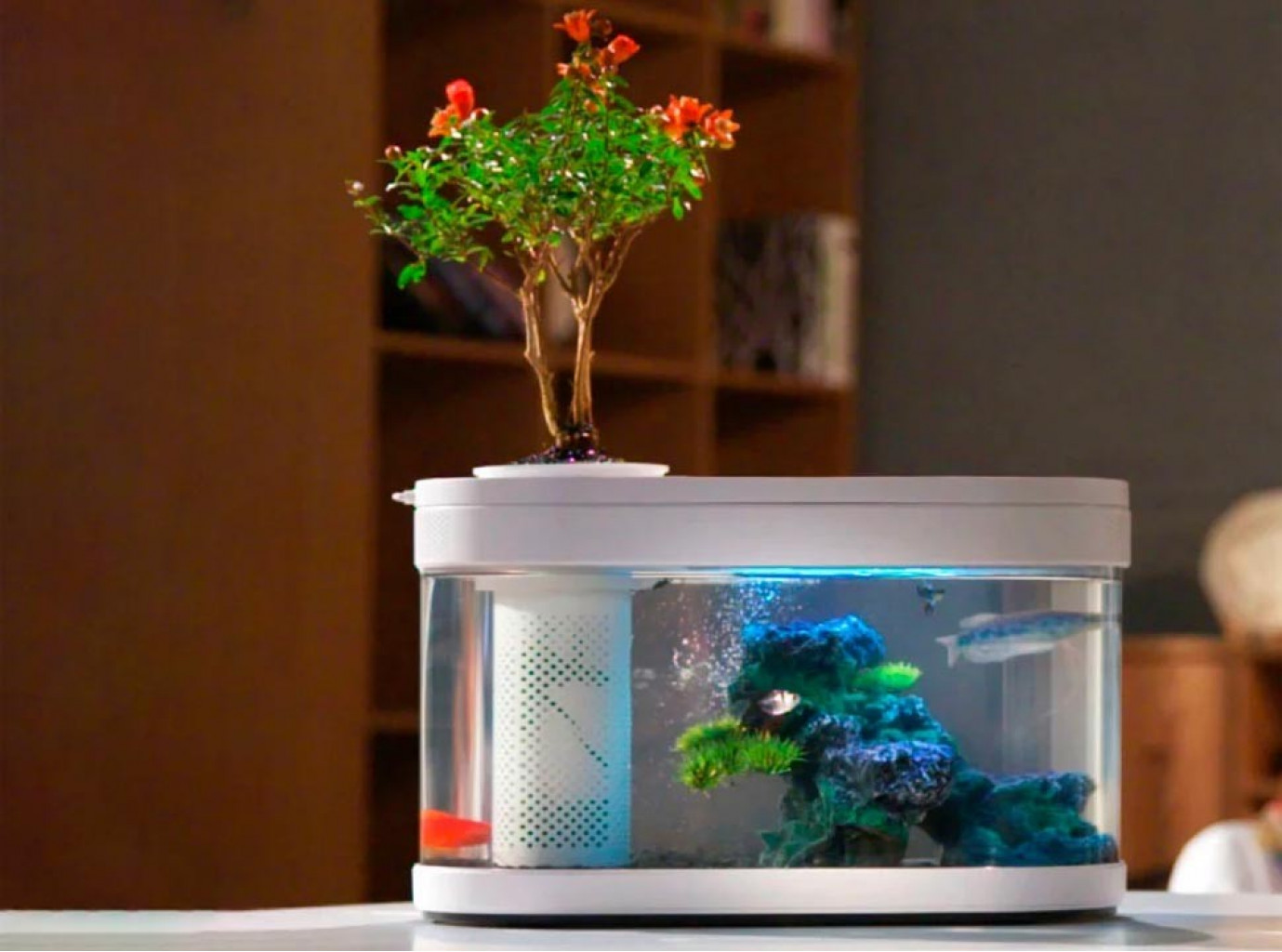 Акваферма Xiaomi Lucky Amphibious Geometry Fish Tank White (HF-JHYGQC001)