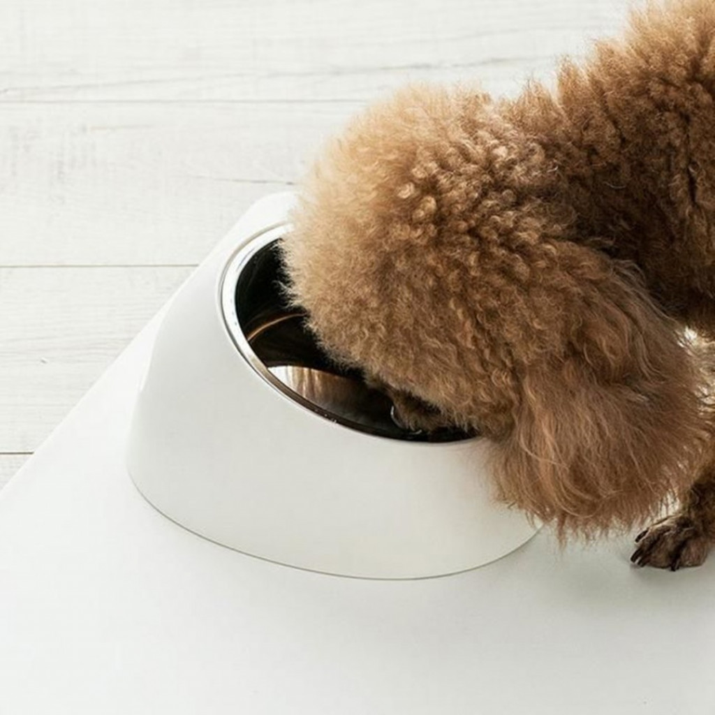 Миска для домашних животных Xiaomi Jordan&Judy Pet Bowl White (JJ-PE0022-1)