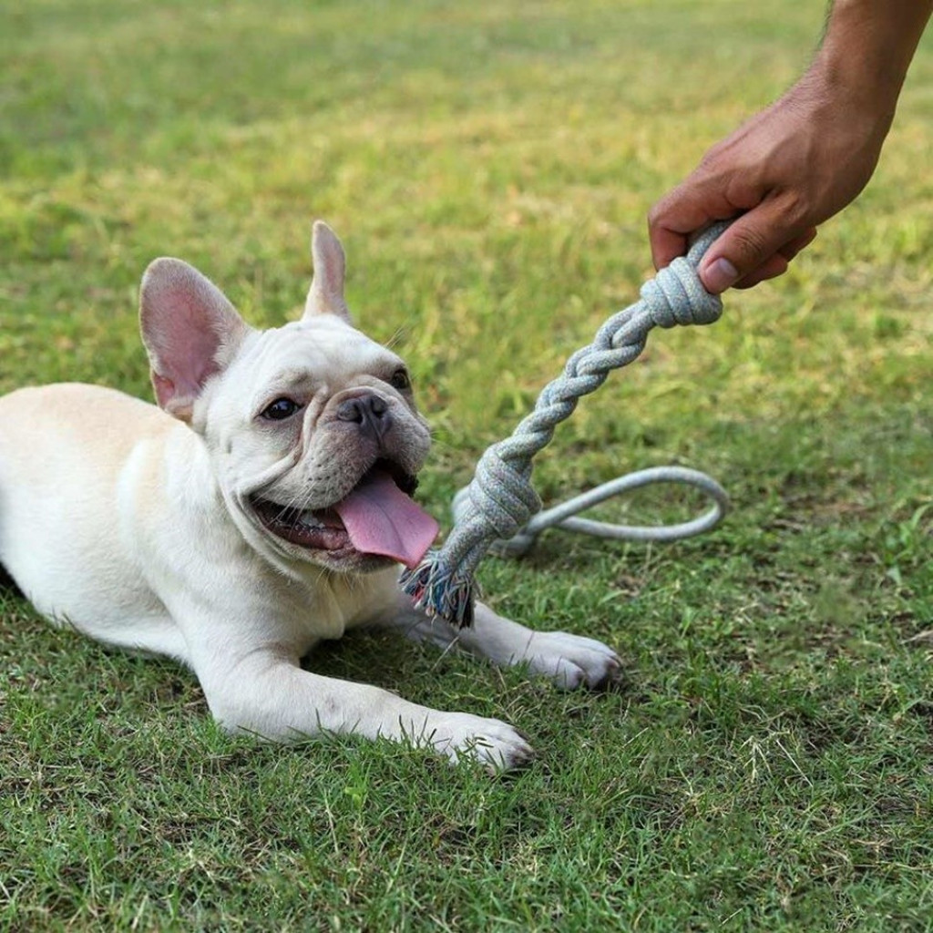 Игрушка канат для собак Xiaomi Little Beast Star Dog Cotton Rope Toy Grey