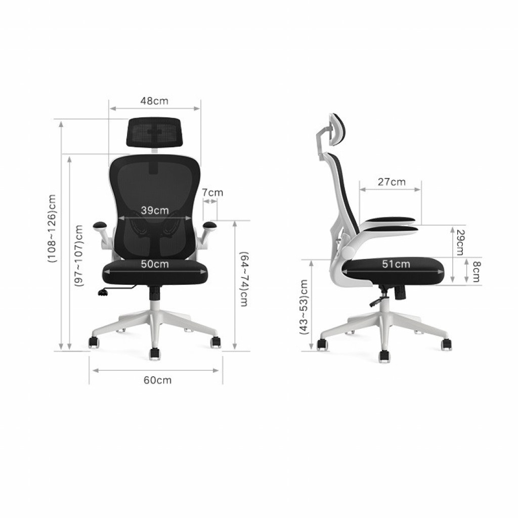 Компьютерное кресло Xiaomi Hbada Ergonomic Double Waist Chair, Black (HDNY163WG)