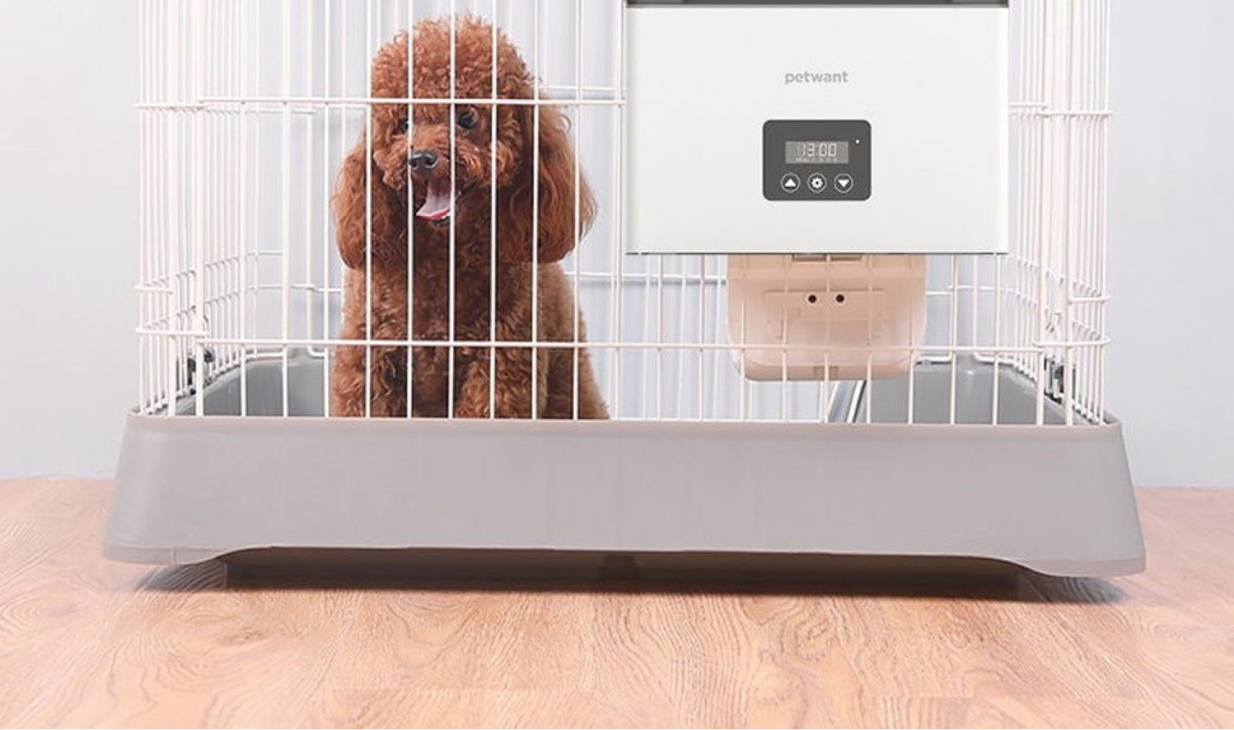 Умная кормушка для животных Xiaomi Patwant Cage Automatic Feeder Grey (F4-LED)