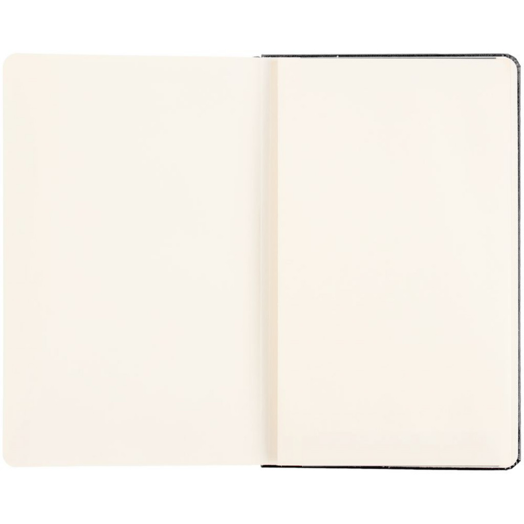 Записная книжка Moleskine Professional Large, черная